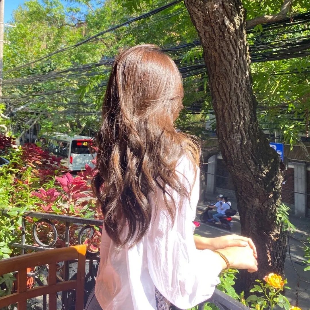 战场上的布谷鸟